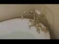Canard qui jout dans la baignoire